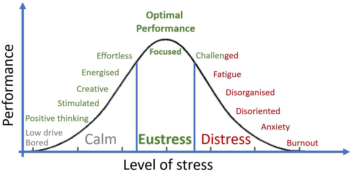 Stress Physiology and Yoga